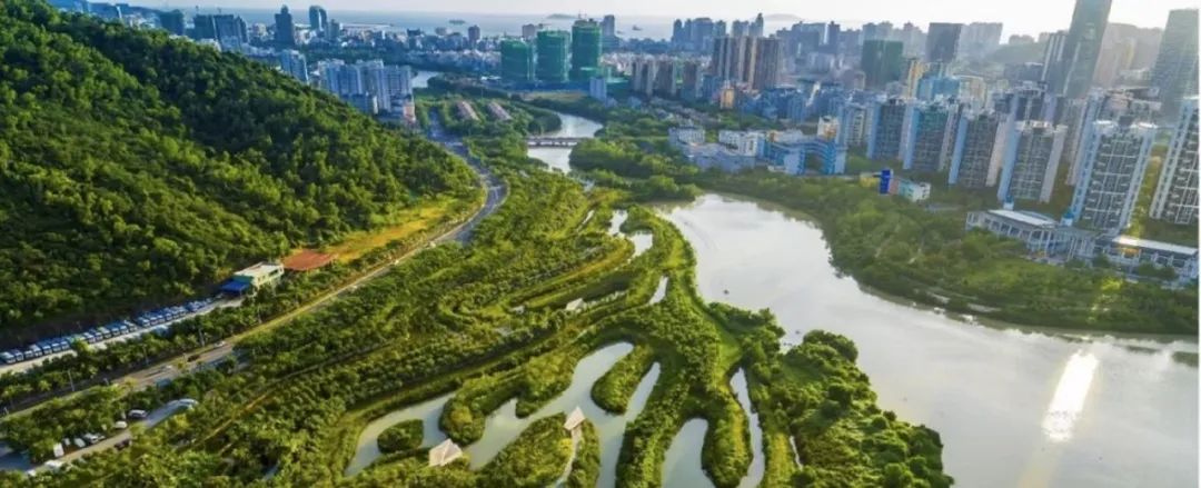 海绵城市建设的规划应对策略研究与实践——以无锡市为例