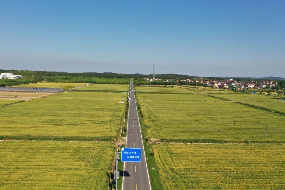 沃土“搬家”记