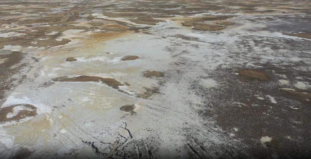 黑龙江大庆：传统老油城，破“碱”筑粮仓 | 新春走基层