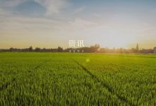 八大意见!广东省全域土地综合整治转向深入推进阶段-规划问道
