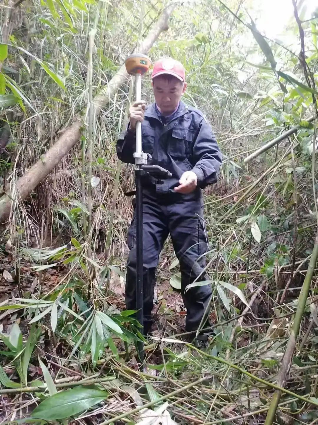 海南陵水：北纬十八度，“陆均松”在守护 | 新春走基层