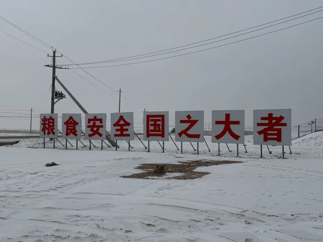 黑龙江大庆:传统老油城,破“碱”筑粮仓 | 新春走基层 黑龙江大庆:传统老油城,破“碱”筑粮仓 | 新春走基层