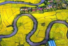 2025年中央一号文件发布-规划问道