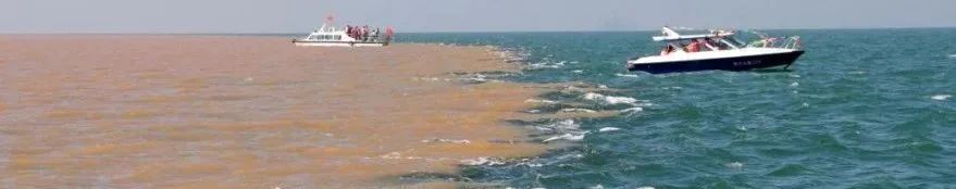 学术报告 | 王天青：海域国土空间详细规划编制技术研究与实践探索——以青岛市为例