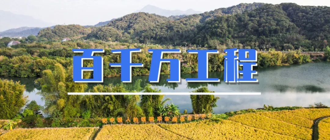 百千万工程㉔|宁波象山:“三权分置”解锁共同富裕密码 百千万工程㉔|宁波象山:“三权分置”解锁共同富裕密码