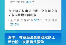 《2024年中国自然资源公报》发布-规划问道