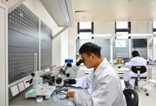 五大“关键词”透视2026年全国两会热点-规划问道